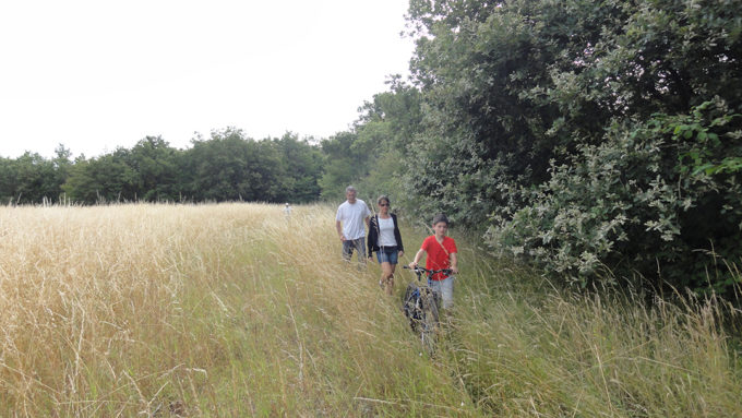 Saint Georges des sept Voies, la famille Miralles