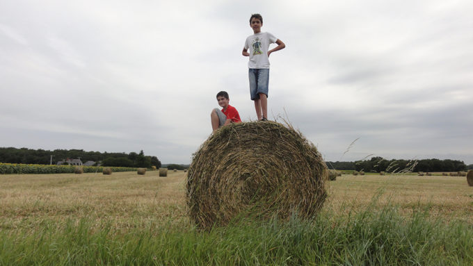 meule de foin, Antoine Théo