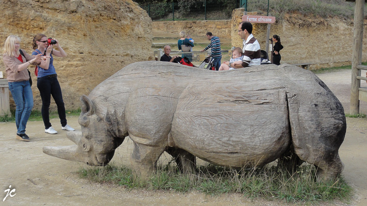la charge du rhinocéros