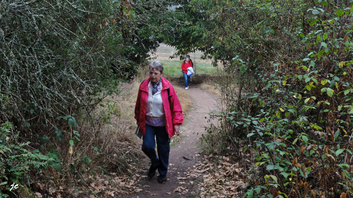 à la mémoire de Merlin (3h 11km)