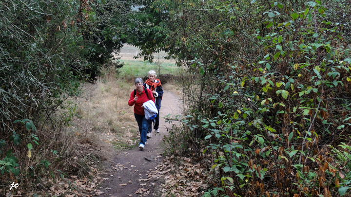 à la mémoire de Merlin (3h 11km)