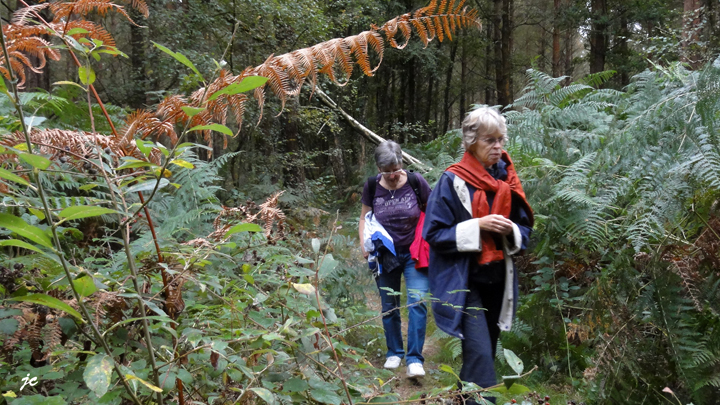 sous la fougère, Simone et Danielle