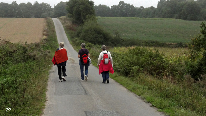 à la mémoire de Merlin