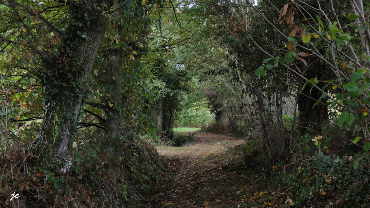 clairière de St Péran (4h 16km)