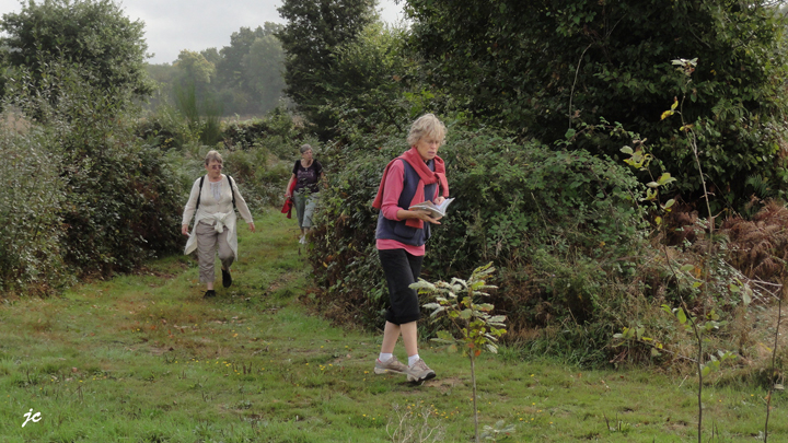 clairière de St Péran (4h 16km)