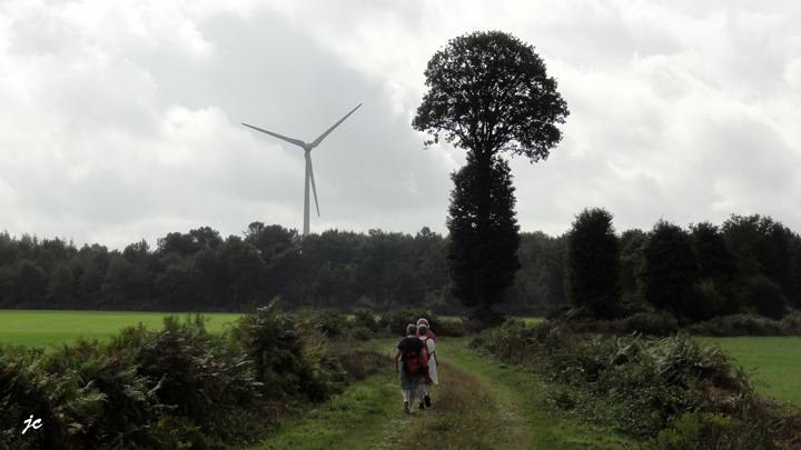 la nature et la technologie