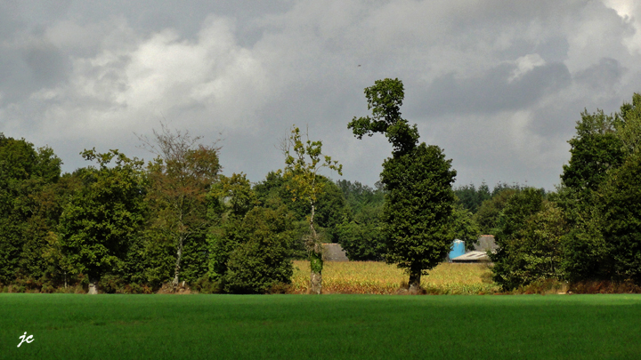 "c'est par là" dit-elle