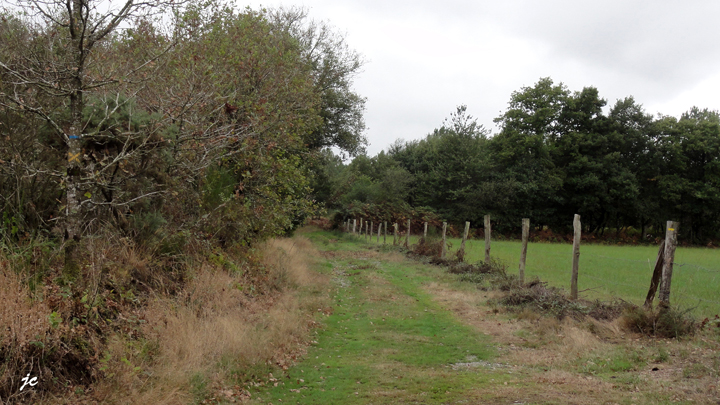 le balisage de "fou" (voir l'arbre et le poteau)