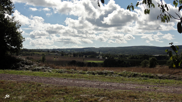 dans les landes de la Fontaine Bourse