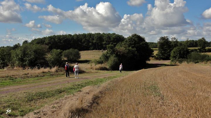 dans les landes de la Fontaine Bourse