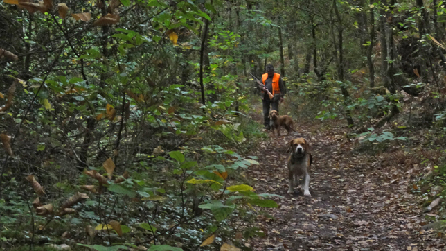 les chiens et le chasseur