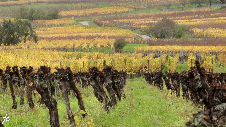 les couleurs de l'automne