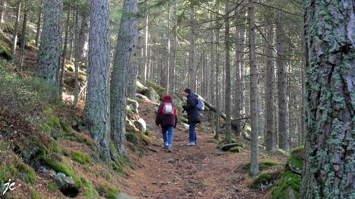 la grimpette vers la ruine du château de Dreistein