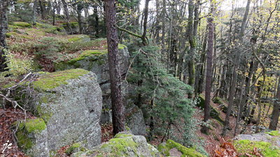 le rocher à Grendelbruch