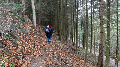 sur le sentier du château de Guirbaden