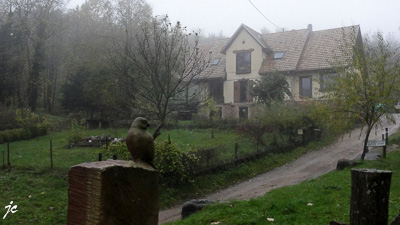 près de l'auberge du Moenkalb