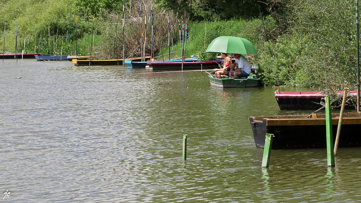 les pêcheurs sur la Sarthe