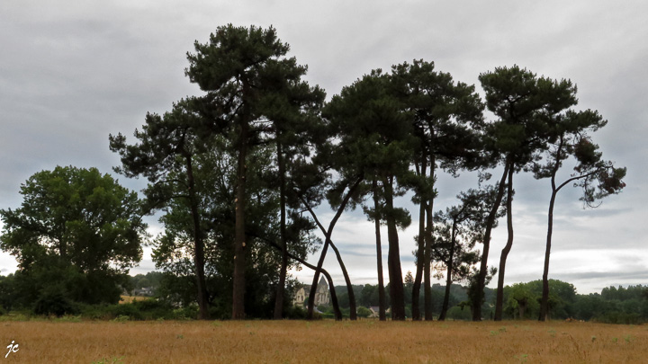 près de Blaison-Gohier