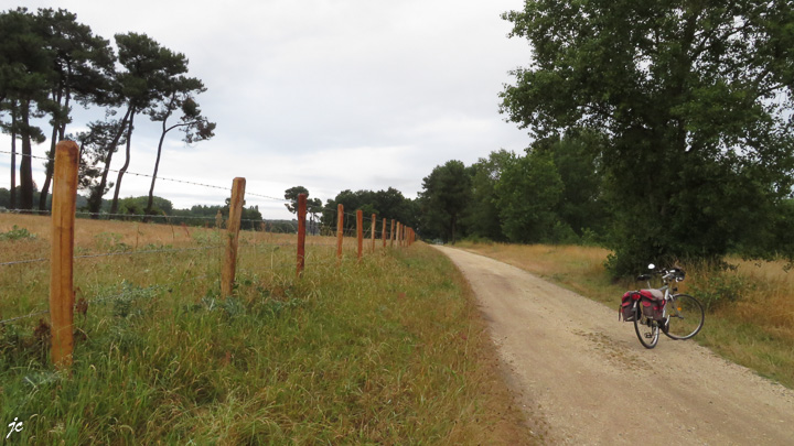 la clôture et le vélo