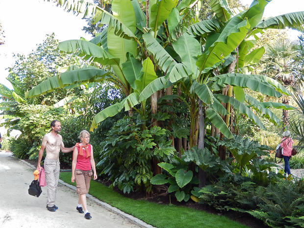 Simone et Thierry dans le jardin de la retraite