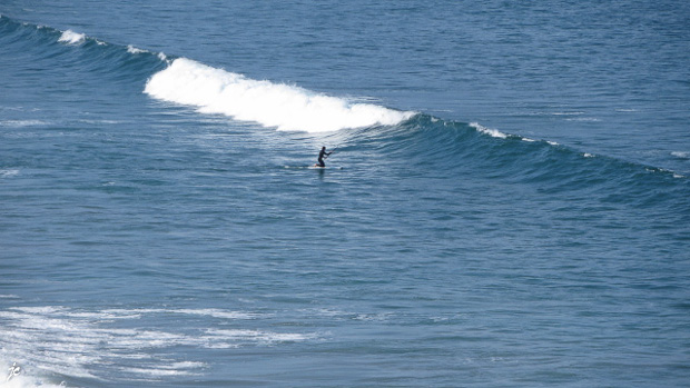 le surfer
