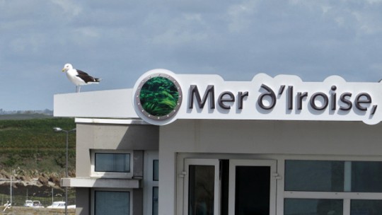 la mer d'Iroise