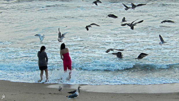 sur la plage à Figueira da Foz