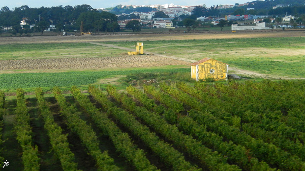 vu du bus entre Obidos et Figueira da Foz