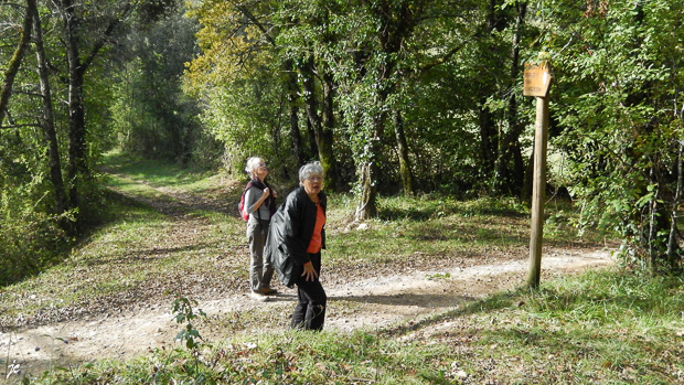 la valse hésitation