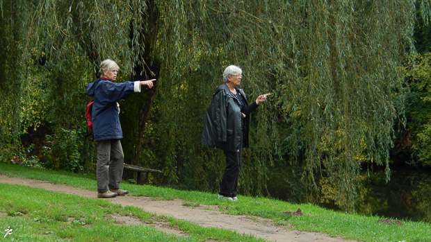à Saint Léon sur Vézère