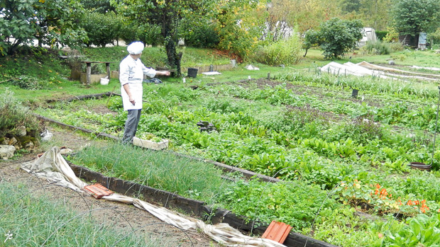 le cuistot fait son marché