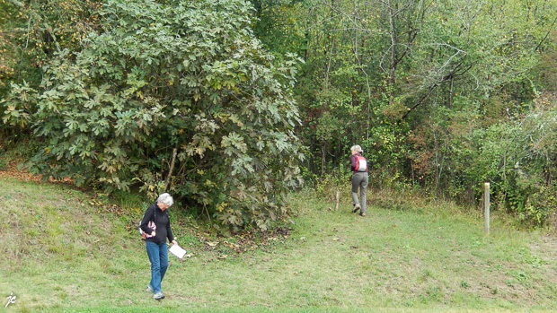 les voleuses de figues