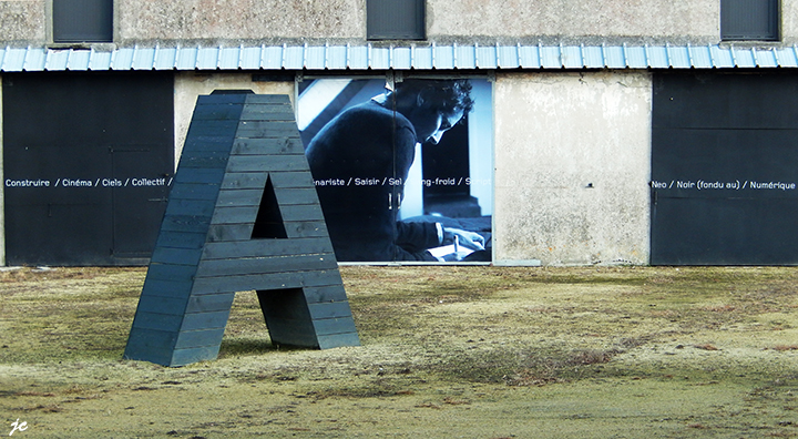 le cinéma à l'honneur