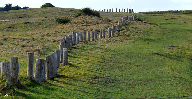 les "alignements" dans les dunes de Kéremma
