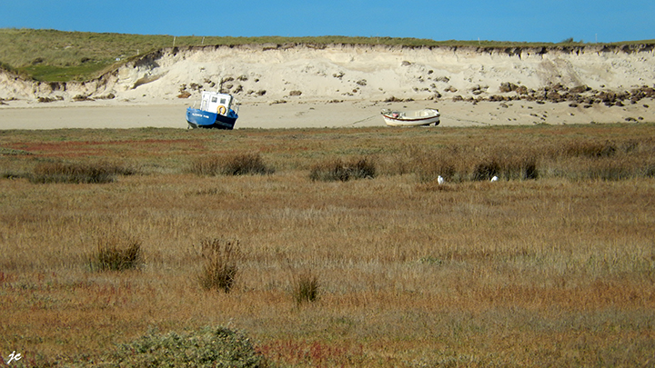 dans la baie du Kernic