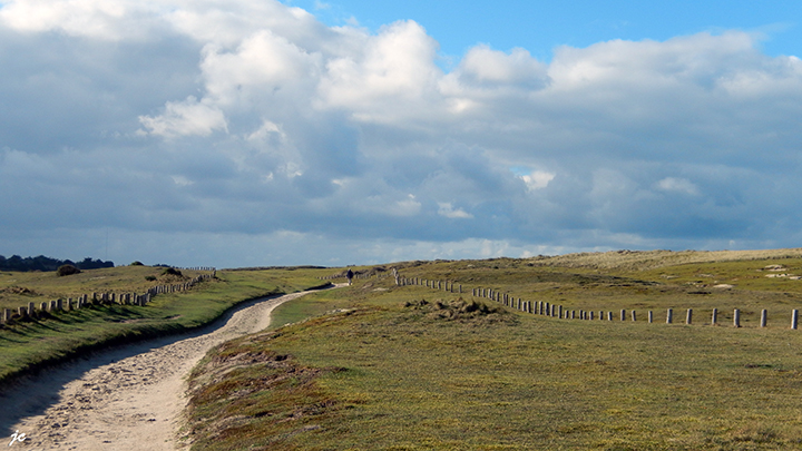 dans les dunes de Keremma