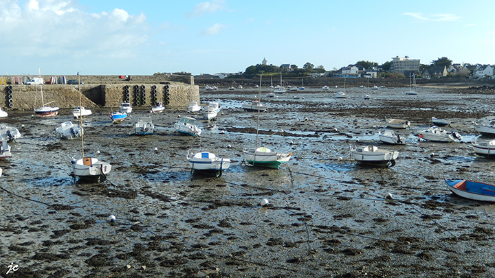 le vieux port de Roscoff