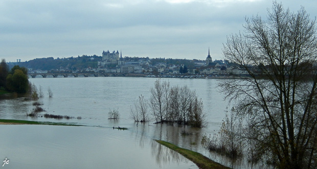 Saumur vue du pont du cadre noir