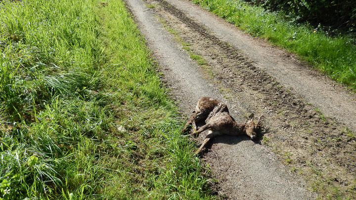 encore une victime d'attentat