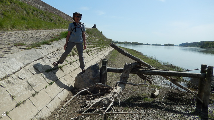 les vestiges de l'hiver sur "la Loire à vélo" rive droite