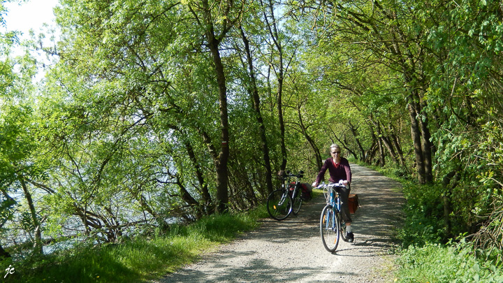 La Loire à vélo près de Bouchemaine