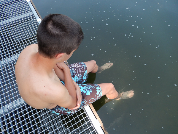 le grand nettoyage par les poissons