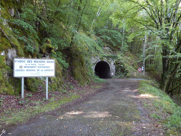 le tunnel avant le viaduc des Rochers Noirs