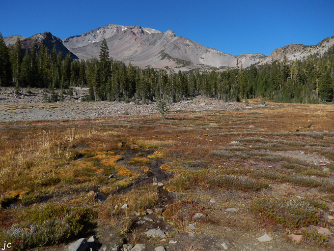Mount Shasta vu de Panther Meadow