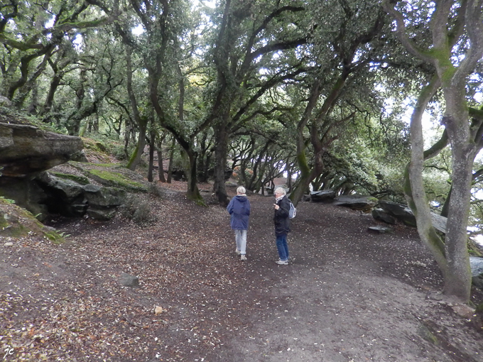 Simone et Ghislaine dans le bois de la chaise