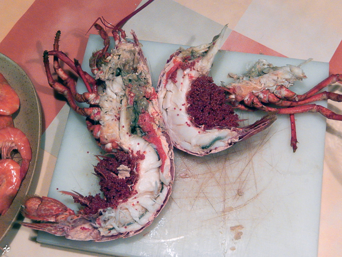 les homards