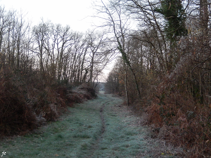 le sentier entre Coutures et Saint Saturnin sur Loire