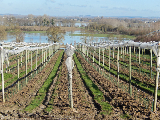 à Chauvigné, vue sur la Loire et la vallée