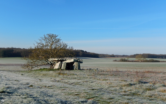 le dolmen de la Forêt