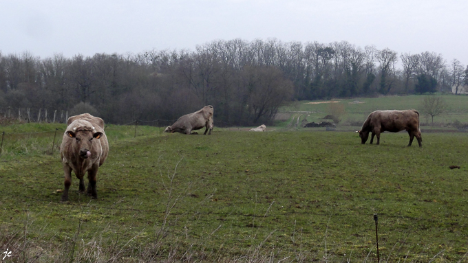 elle est toujours meilleure chez le voisin !
